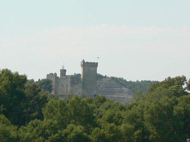 P1030063.jpg