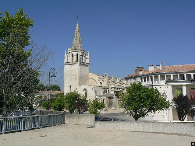 P1030064.jpg