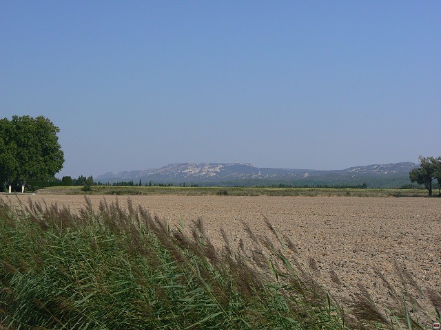 P1030066.jpg