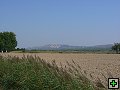thn_P1030066.jpg