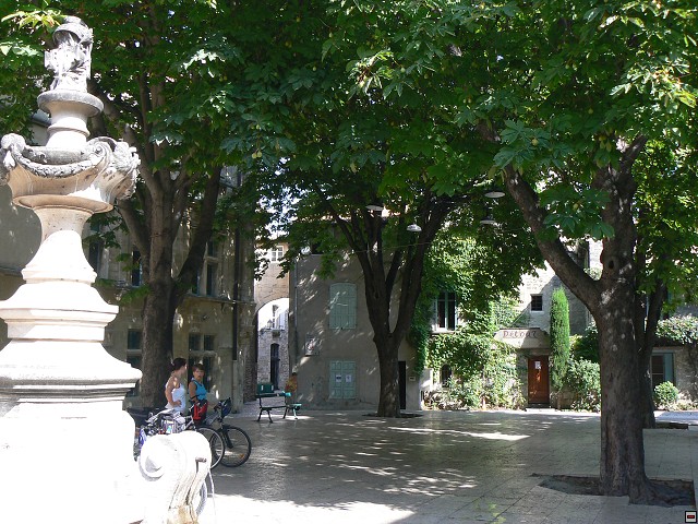 P1030073.jpg