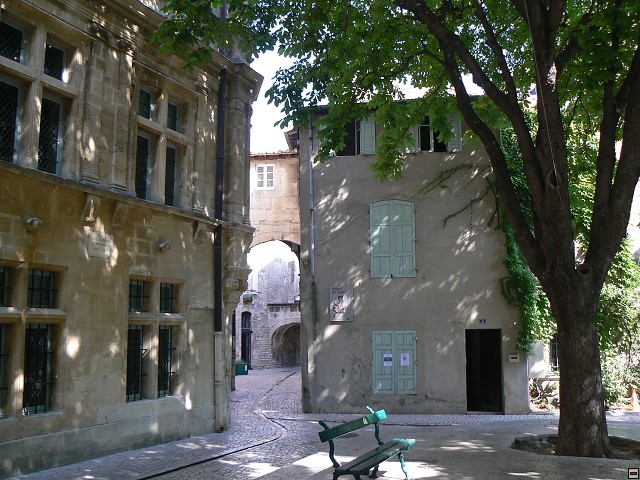 P1030074.jpg