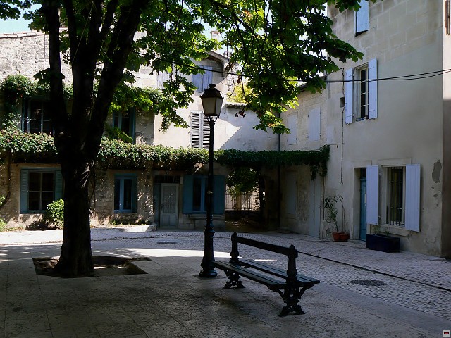 P1030075_1.jpg
