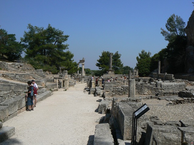 P1030096.jpg
