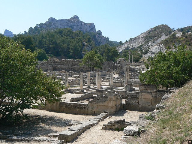 P1030107.jpg