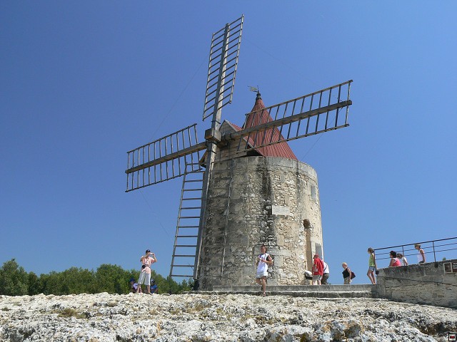 P1030173.jpg