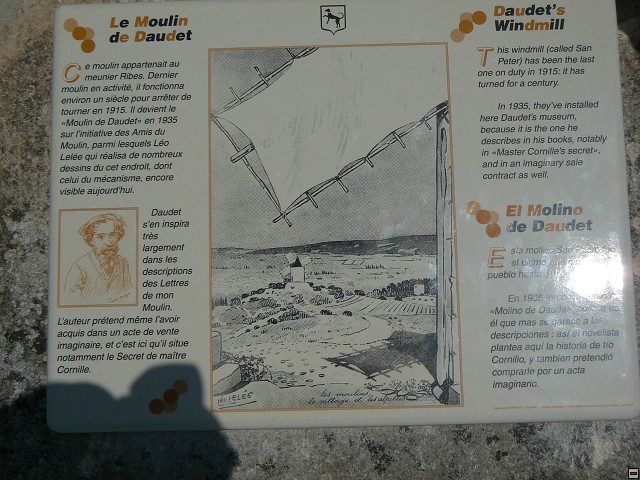 P1030175.jpg