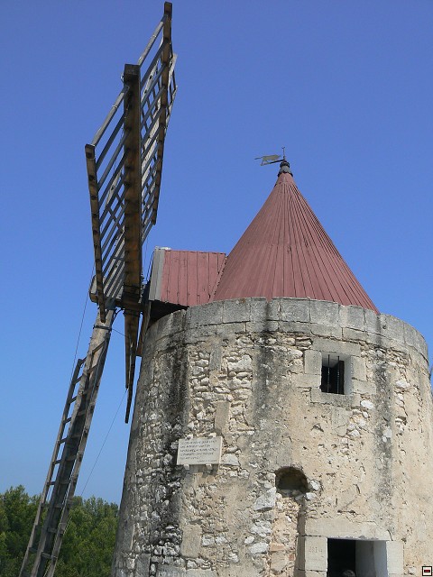 P1030176.jpg