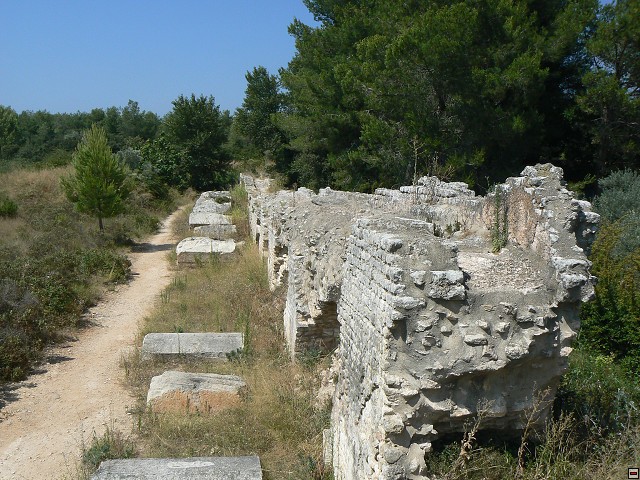 P1030181.jpg