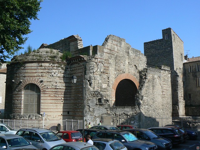 P1030186.jpg