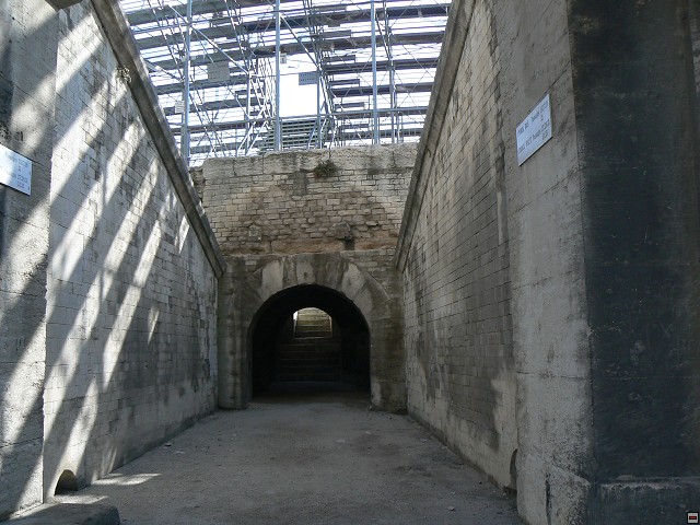 P1030196.jpg