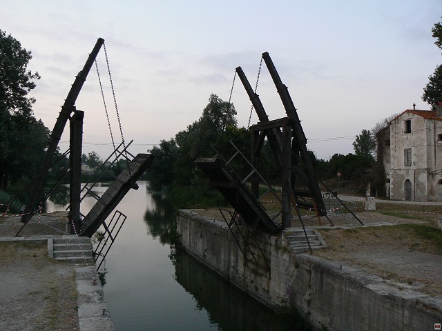 P1030199.jpg