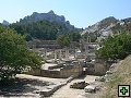 thn_P1030107.jpg