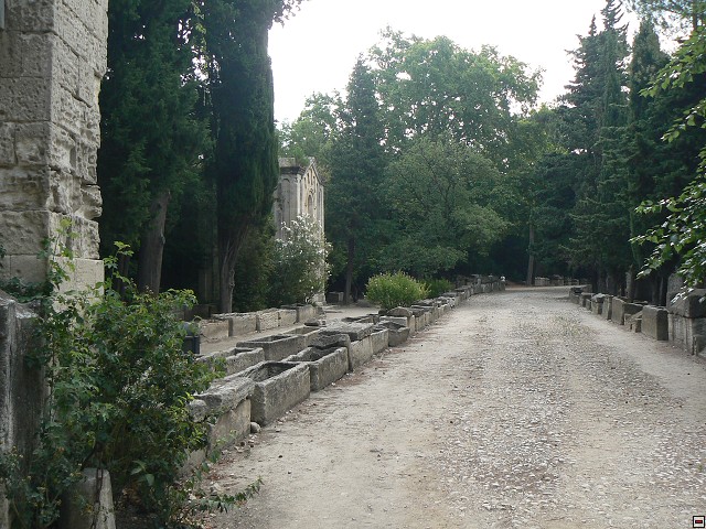 P1030204.jpg