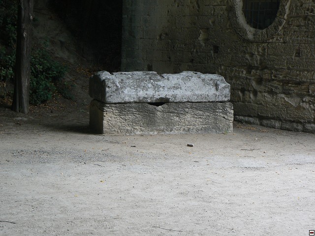P1030206.jpg