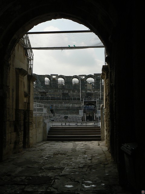 P1030207.jpg