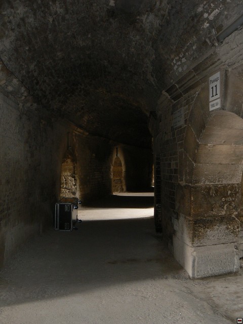 P1030217.jpg
