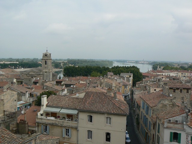 P1030224.jpg