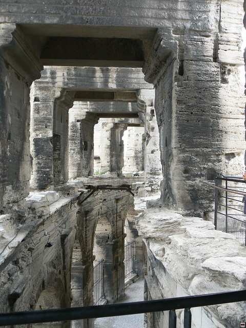 P1030230.jpg