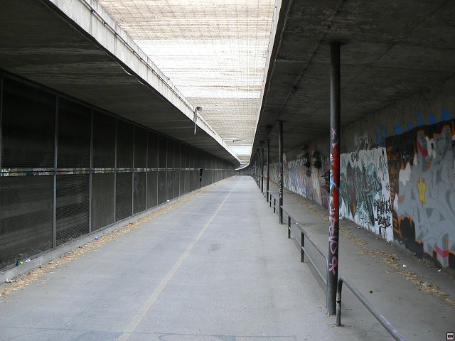 P1030232.jpg