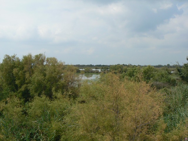 P1030234.jpg