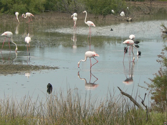 P1030240.jpg
