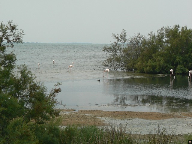 P1030243.jpg