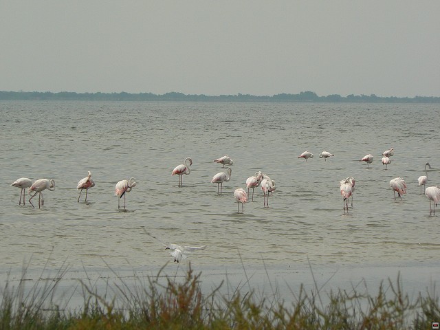 P1030245.jpg