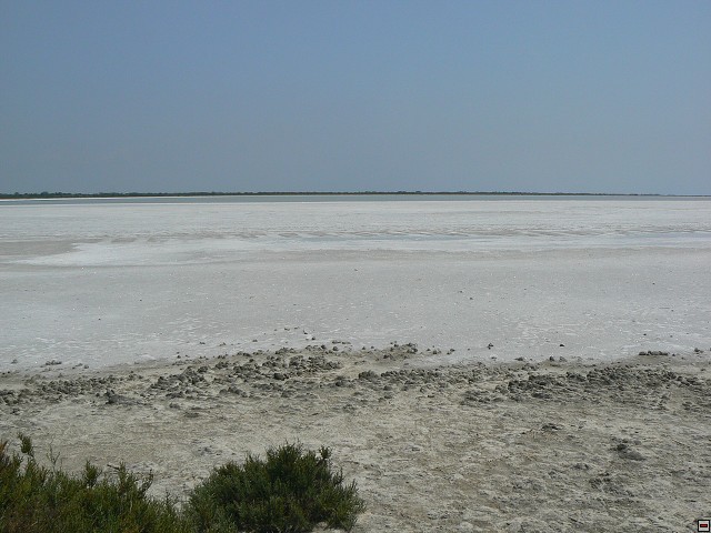 P1030250.jpg