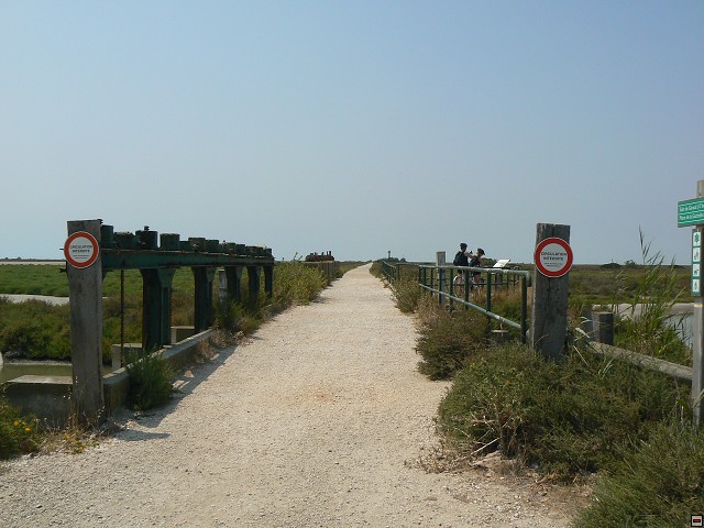 P1030254.jpg