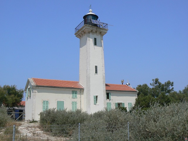 P1030255.jpg