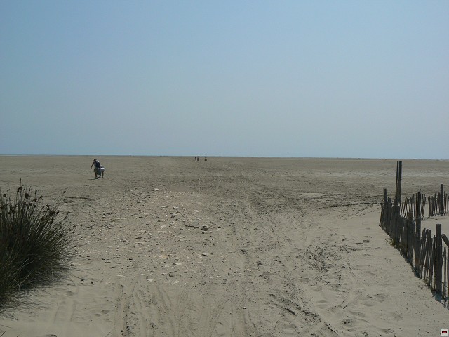 P1030257.jpg