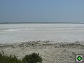 thn_P1030250.jpg