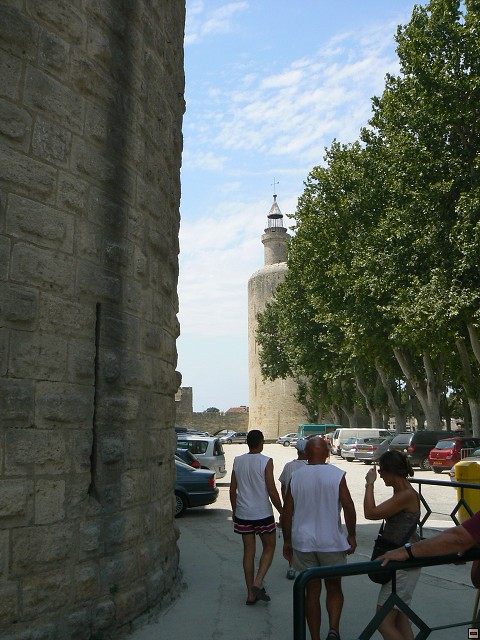 P1030263.jpg
