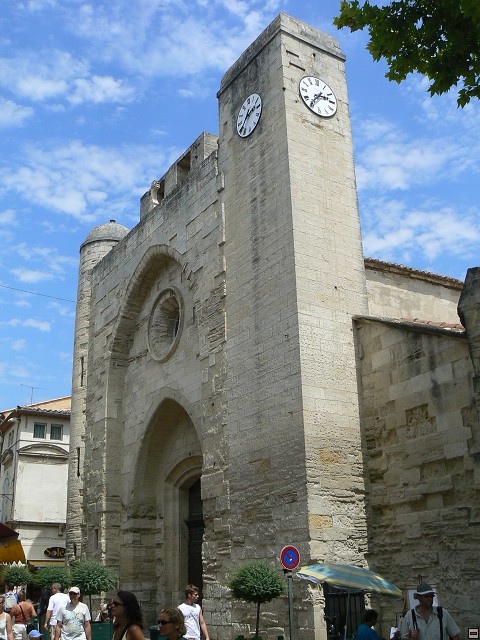 P1030267.jpg