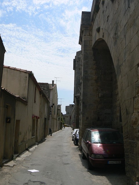 P1030268.jpg