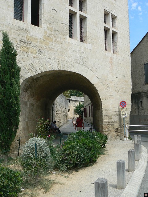 P1030270.jpg