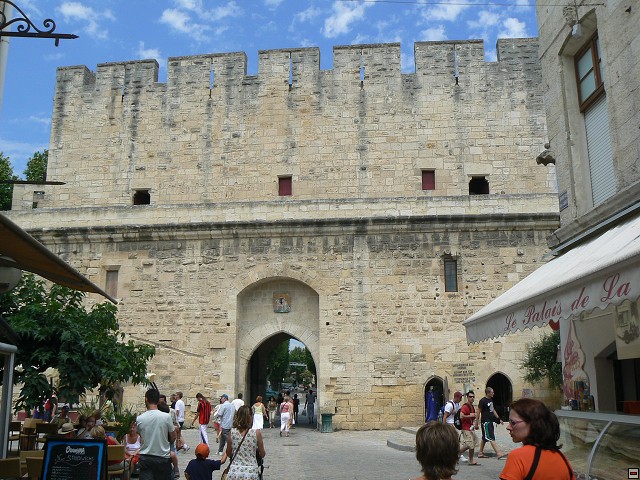 P1030271.jpg