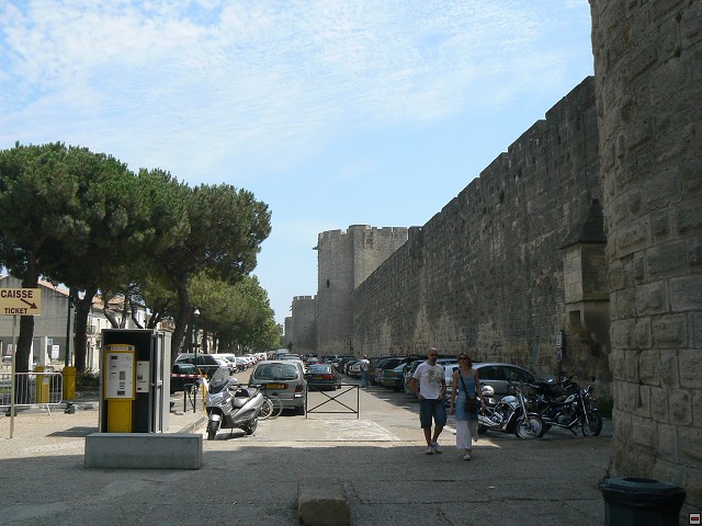 P1030273.jpg