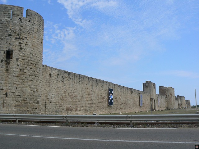 P1030275.jpg