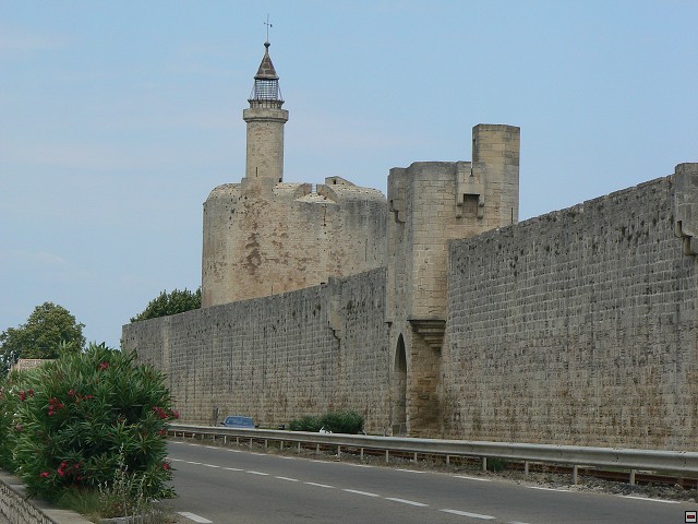 P1030276.jpg