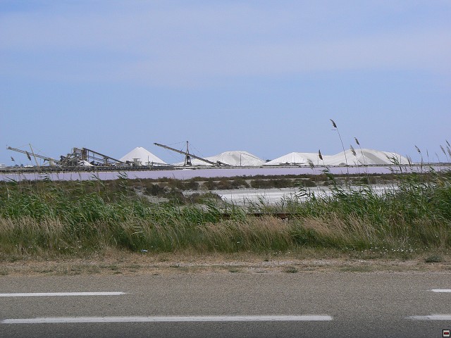 P1030277.jpg