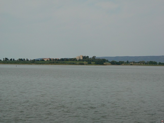P1030281.jpg