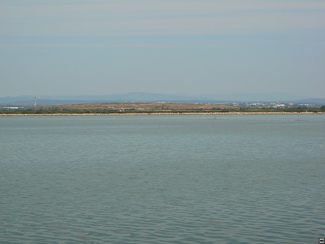 P1030282.jpg