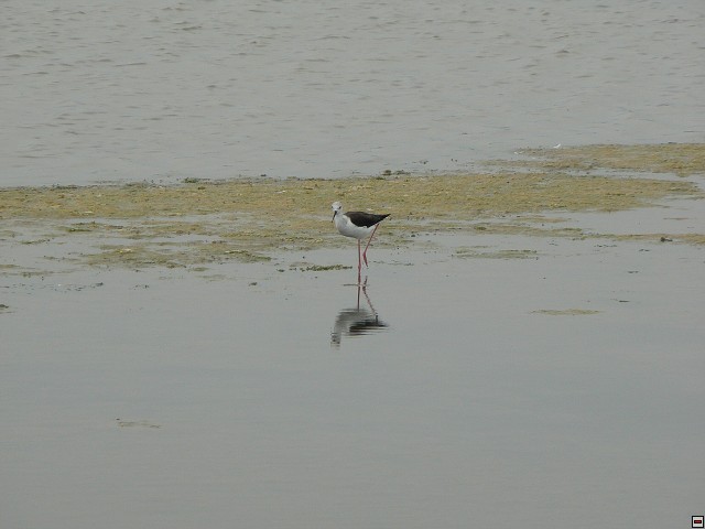 P1030290.jpg