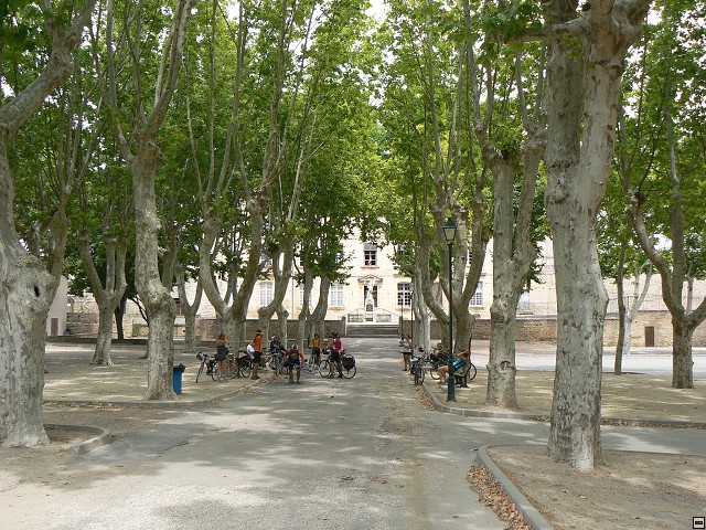 P1030299.jpg