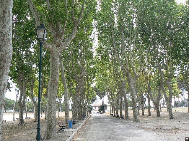 P1030300.jpg