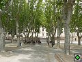thn_P1030299.jpg