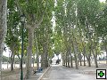thn_P1030300.jpg