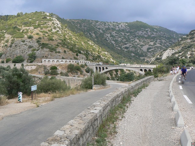 P1030312.jpg